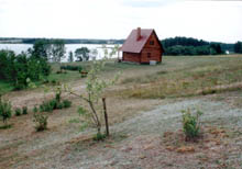 photograph