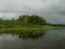 photograph