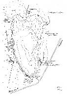 hydrological map