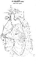 hydrological map