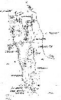 hydrological map