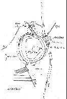 hydrological map